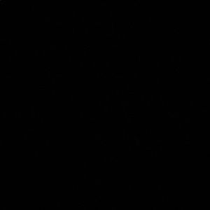 Meet your Posher, Conor